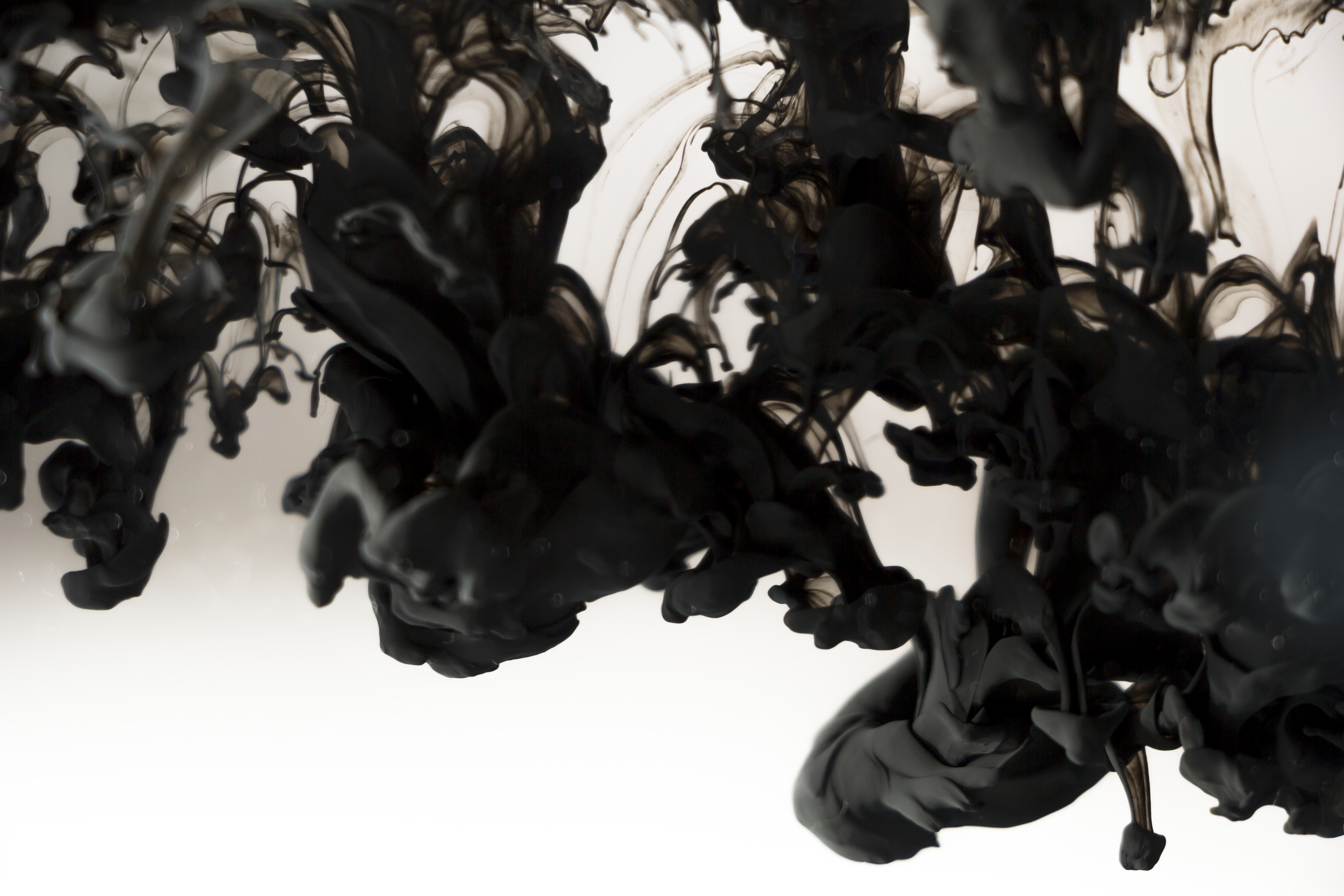 CSU Art Exhibition: “On Photography”