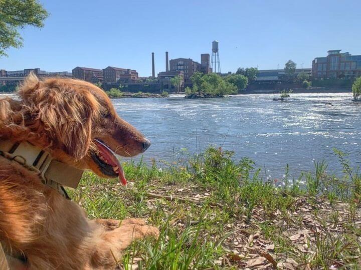 Featured Image: Top 4 Dog-Friendly Restaurants in Columbus, Georgia