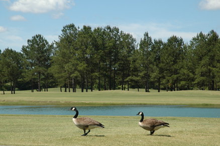Oxbow Creek Golf Course