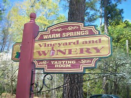 Warm Springs Vineyard and Winery 