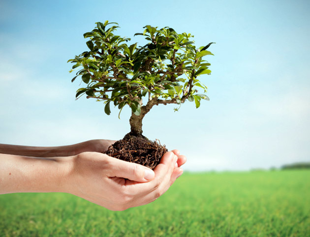 Homeschool In The Park: Happy Arbor Day