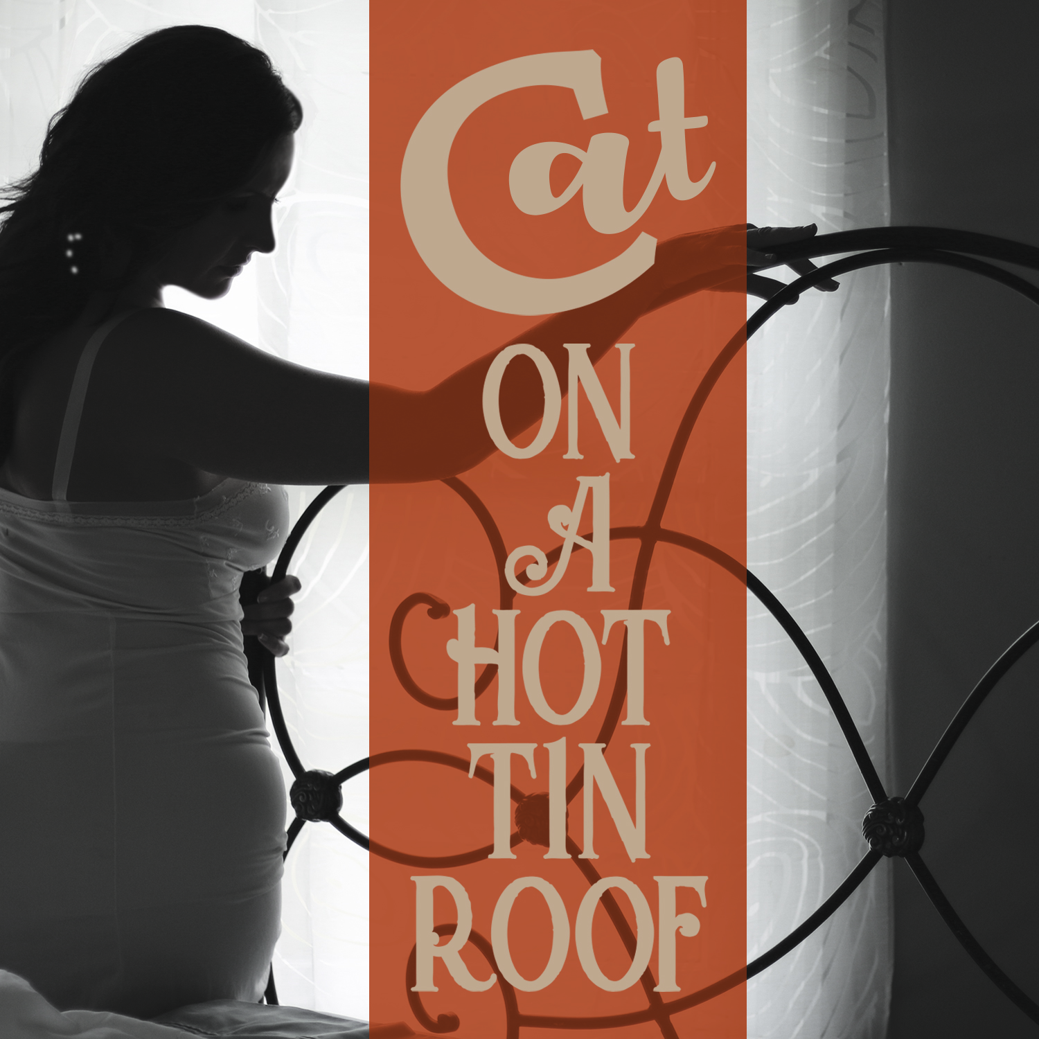 cat on a hot tin roof by tennessee williams