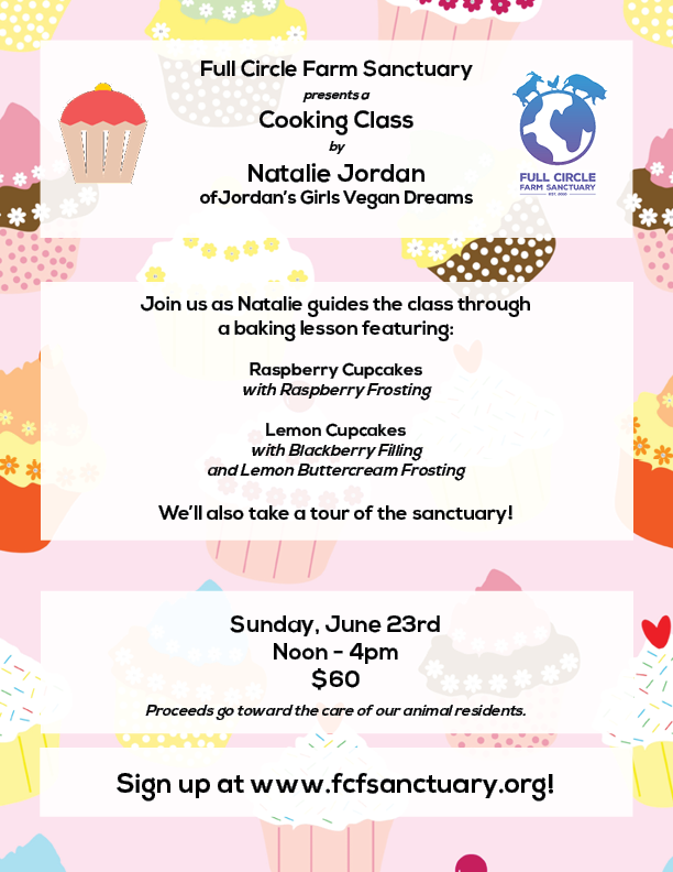 Vegan Cupcake Cooking Class