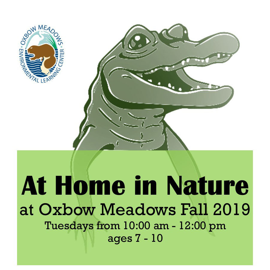 At Home in Nature (Home School) at Oxbow Meadows