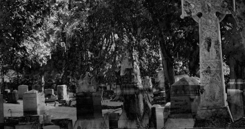 Haunted History Tour
