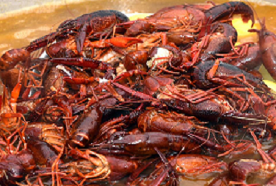 Frogtown Crawfish Festival